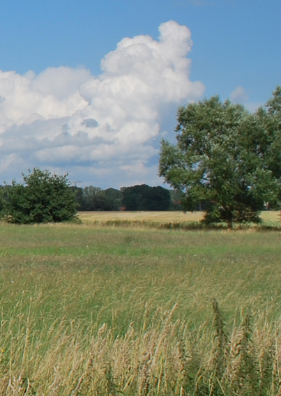 Prignitz Landschaft